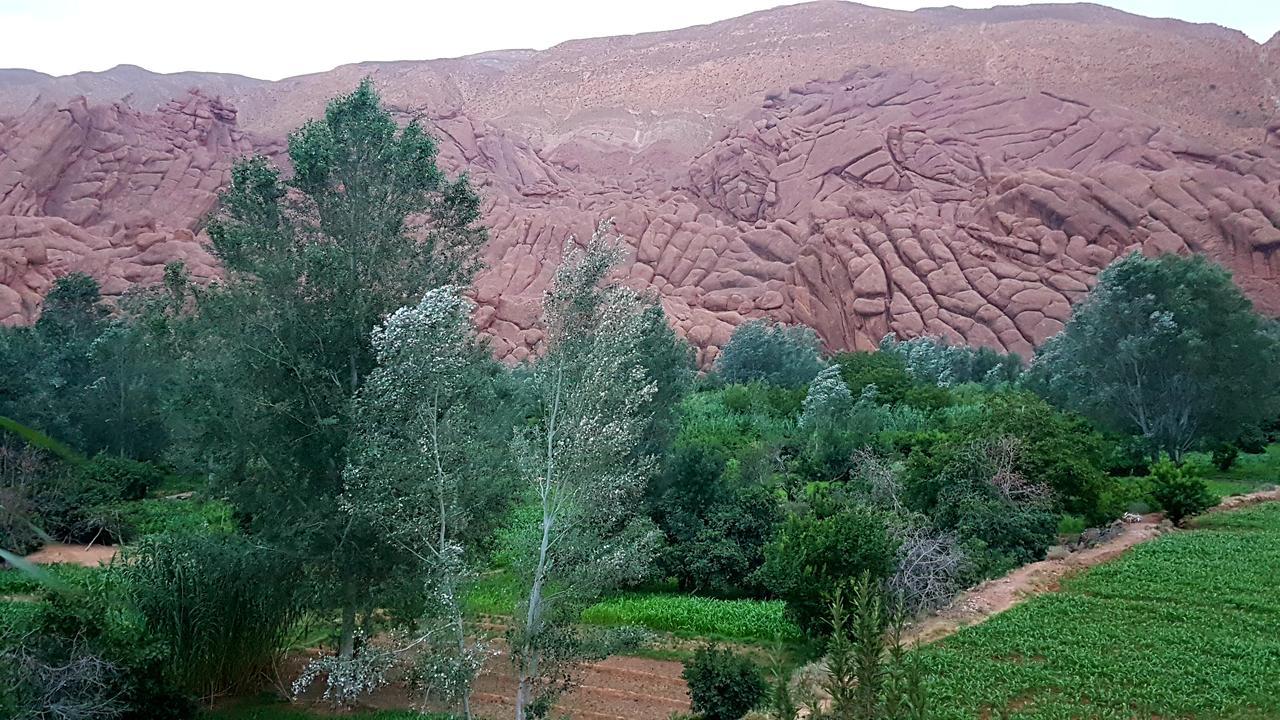 Auberge Kasbah Ait Marghad Tamellalt  Eksteriør bilde
