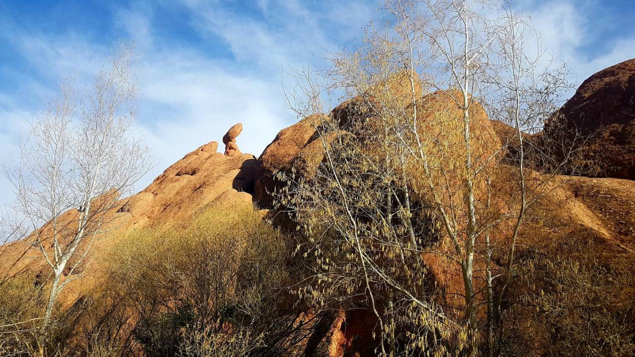 Auberge Kasbah Ait Marghad Tamellalt  Eksteriør bilde